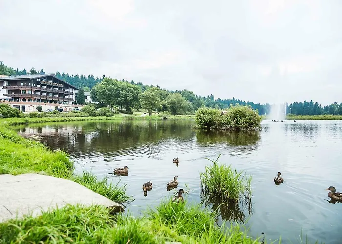 Am Kranichsee Appartement *